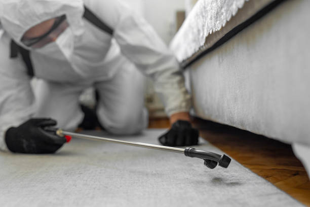 Professional Termite Control technician working in Waterloo, IN