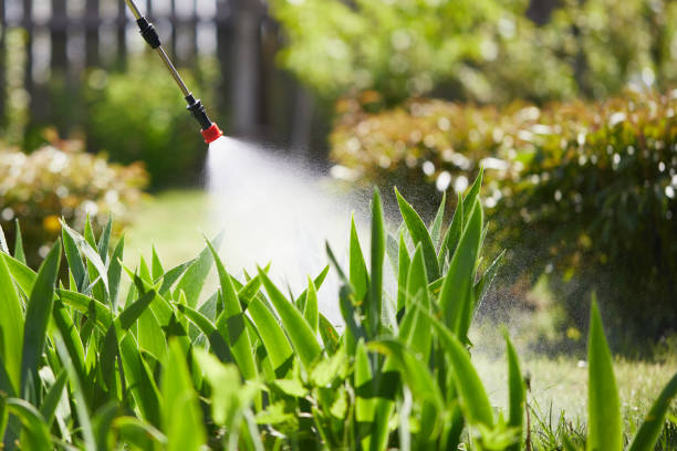 24/7 Emergency Termite Control experts in Waterloo, IN
