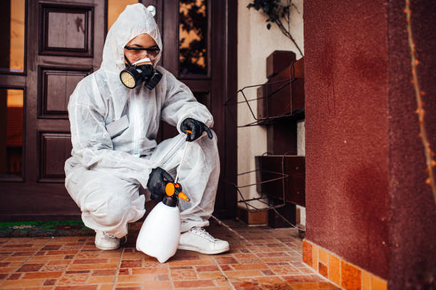 Reliable Termite Control contractor in Waterloo, IN by Nex Pest Control