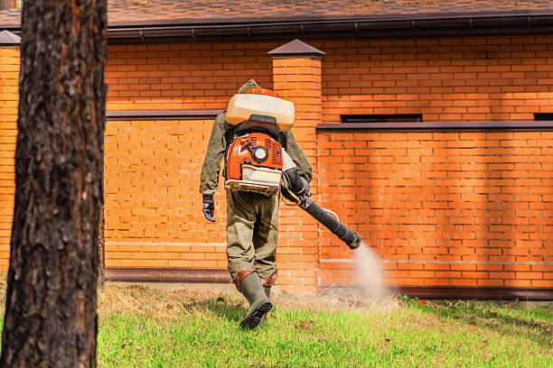 Top rated local Termite Control specialists in Waterloo, IN